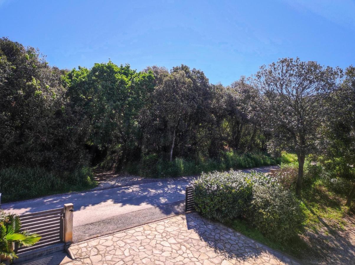 Apartments Tina Stinjan Πούλα Εξωτερικό φωτογραφία